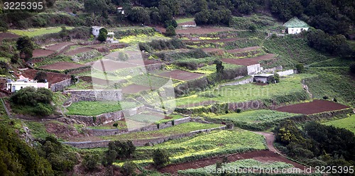 Image of SPAIN CANARY ISLANDS TENERIFE