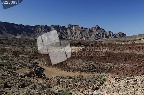 Image of SPAIN CANARY ISLANDS TENERIFE