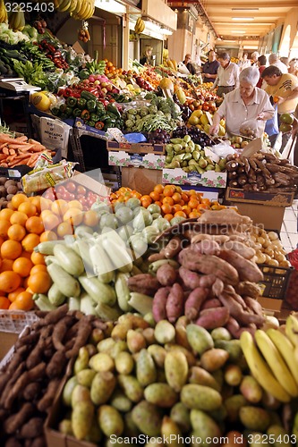 Image of SPAIN CANARY ISLANDS TENERIFE