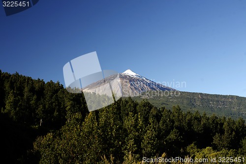 Image of SPAIN CANARY ISLANDS TENERIFE