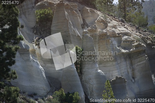 Image of EUROPA, SPANIEN, KANARISCHE INSELN, TENERIFFA