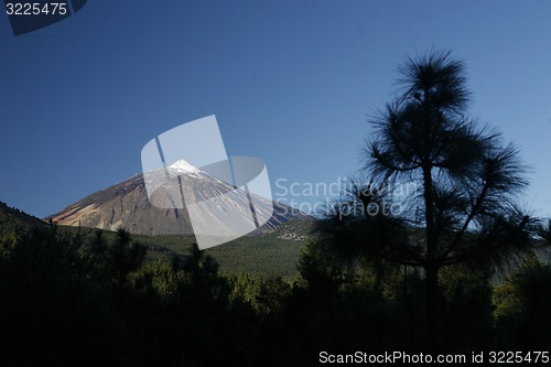 Image of SPAIN CANARY ISLANDS TENERIFE