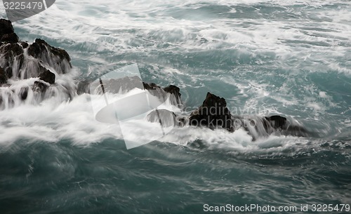 Image of SPAIN CANARY ISLANDS TENERIFE