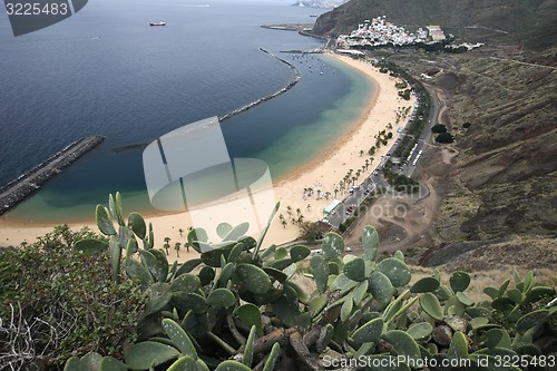 Image of SPAIN CANARY ISLANDS TENERIFE