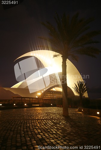 Image of SPAIN CANARY ISLANDS TENERIFE