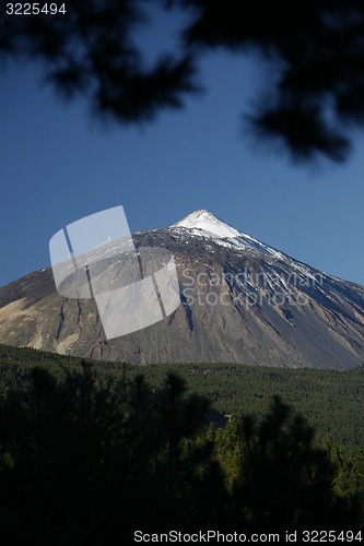 Image of SPAIN CANARY ISLANDS TENERIFE