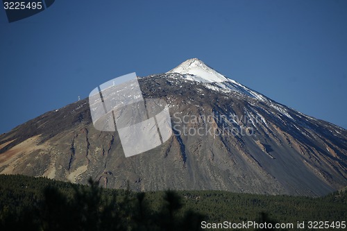 Image of SPAIN CANARY ISLANDS TENERIFE