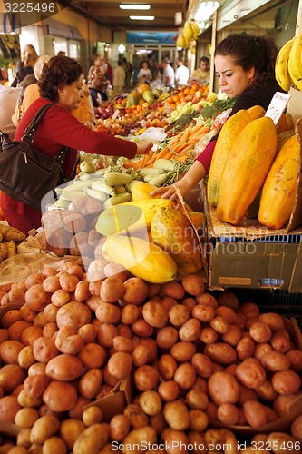 Image of SPAIN CANARY ISLANDS TENERIFE