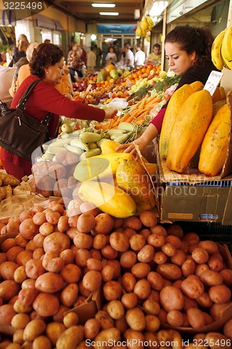 Image of SPAIN CANARY ISLANDS TENERIFE