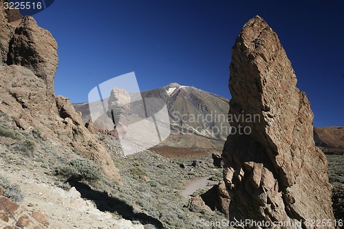 Image of SPAIN CANARY ISLANDS TENERIFE