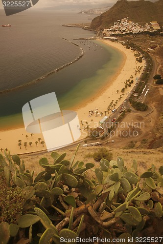 Image of SPAIN CANARY ISLANDS TENERIFE