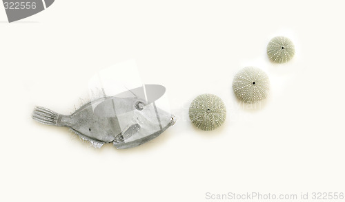 Image of Fish and ocean objects.