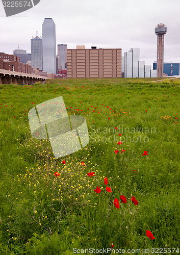 Image of Dallas Texas City Skyline Metro Downtown Trinity River Wildflowe