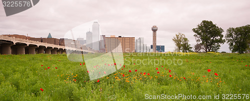 Image of Dallas Texas City Skyline Metro Downtown Trinity River Wildflowe