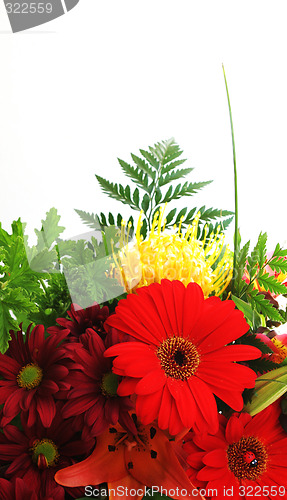 Image of Flowers
