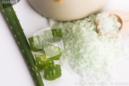 Image of aloe vera and sea salt