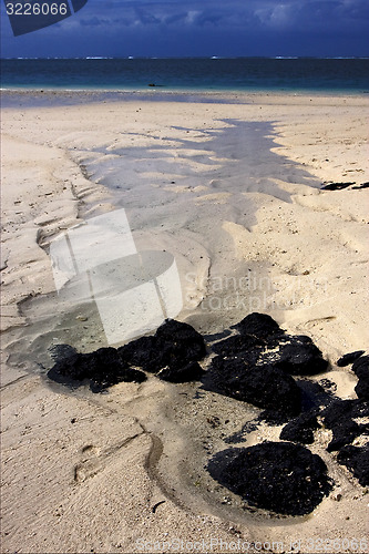 Image of beach rock and stone in mauritius