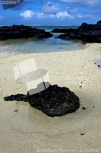 Image of beach  and stone in mauritius