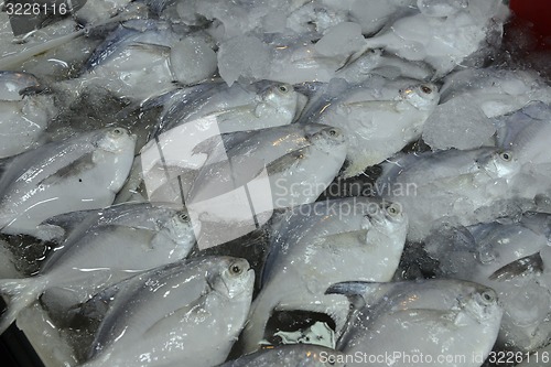 Image of ASIA THAILAND PHUKET MARKT 