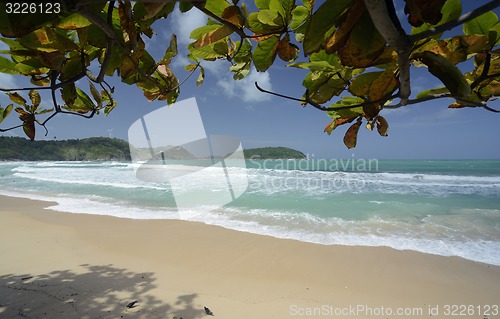 Image of ASIA THAILAND PHUKET RAWAI 