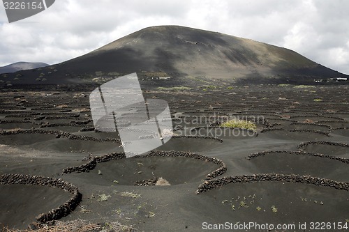 Image of EUROPE CANARY ISLANDS LANZAROTE