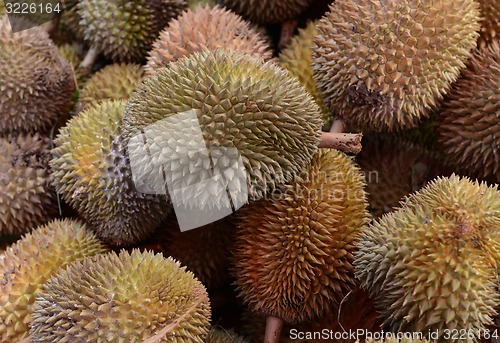 Image of ASIA THAILAND PHUKET MARKT 