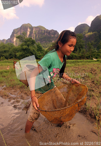 Image of LAOS MAHAXAI MAI REISEN