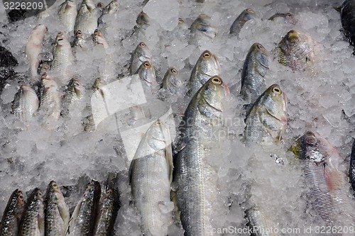 Image of ASIA THAILAND PHUKET MARKT 