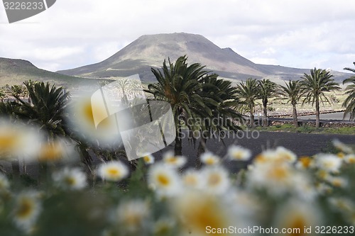 Image of EUROPE CANARY ISLANDS LANZAROTE