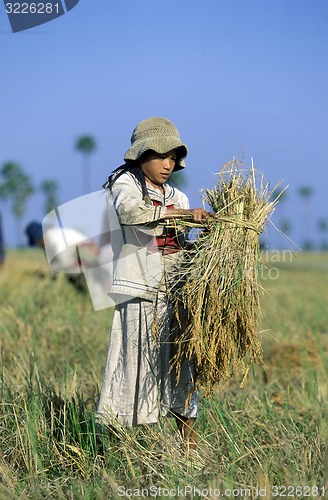 Image of CAMBODIA 