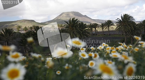 Image of EUROPE CANARY ISLANDS LANZAROTE