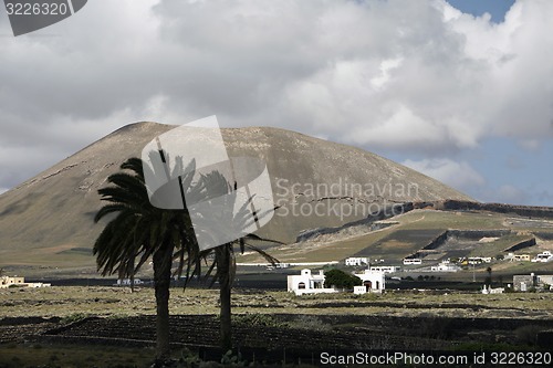 Image of EUROPE CANARY ISLANDS LANZAROTE