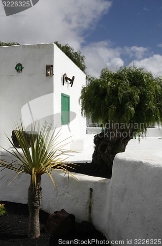 Image of EUROPE CANARY ISLANDS LANZAROTE