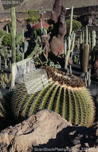 Image of EUROPE CANARY ISLANDS LANZAROTE