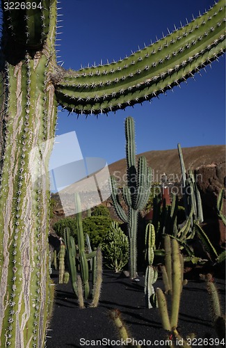 Image of EUROPE CANARY ISLANDS LANZAROTE