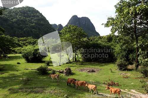 Image of ASIA SOUTHEASTASIA LAOS KHAMMUAN REGION