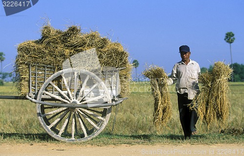 Image of CAMBODIA 