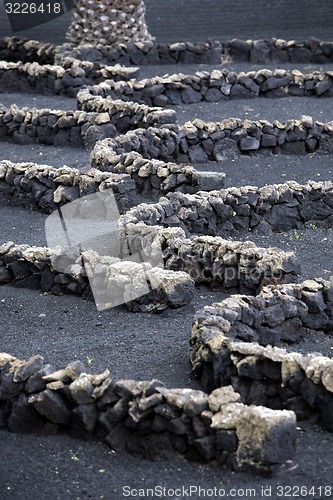 Image of EUROPE CANARY ISLANDS LANZAROTE