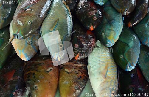 Image of ASIA THAILAND PHUKET MARKT 