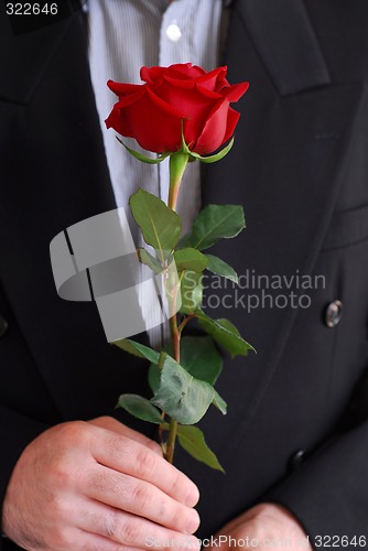 Image of Man red rose