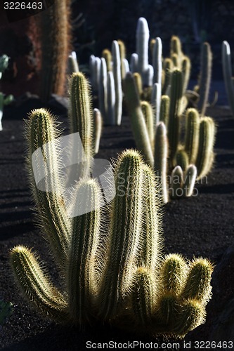 Image of EUROPE CANARY ISLANDS LANZAROTE