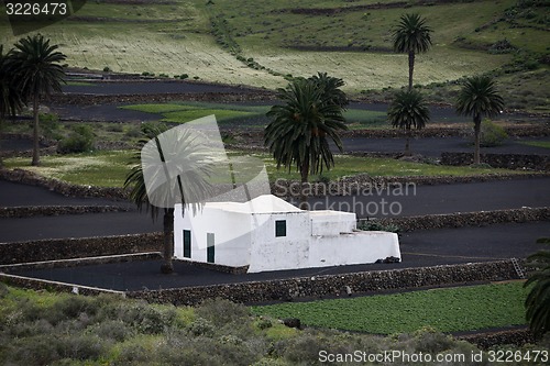 Image of EUROPE CANARY ISLANDS LANZAROTE