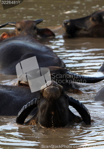 Image of ASIA SOUTHEASTASIA LAOS KHAMMUAN REGION