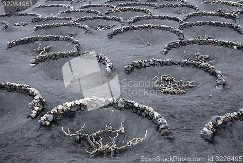 Image of EUROPE CANARY ISLANDS LANZAROTE