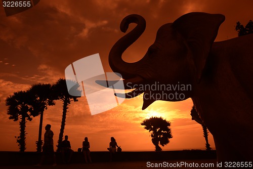 Image of ASIA THAILAND PHUKET RAWAI 