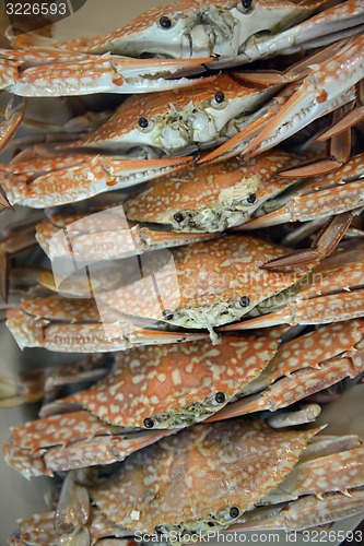 Image of ASIA THAILAND PHUKET MARKT 