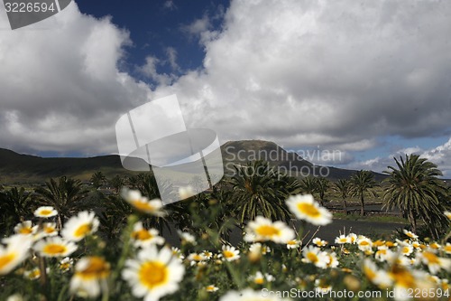 Image of EUROPE CANARY ISLANDS LANZAROTE