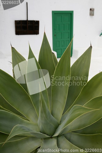 Image of EUROPE CANARY ISLANDS LANZAROTE