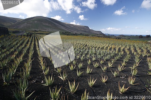 Image of EUROPE CANARY ISLANDS LANZAROTE