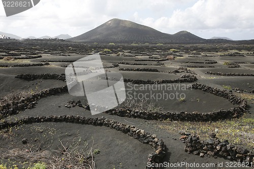 Image of EUROPE CANARY ISLANDS LANZAROTE